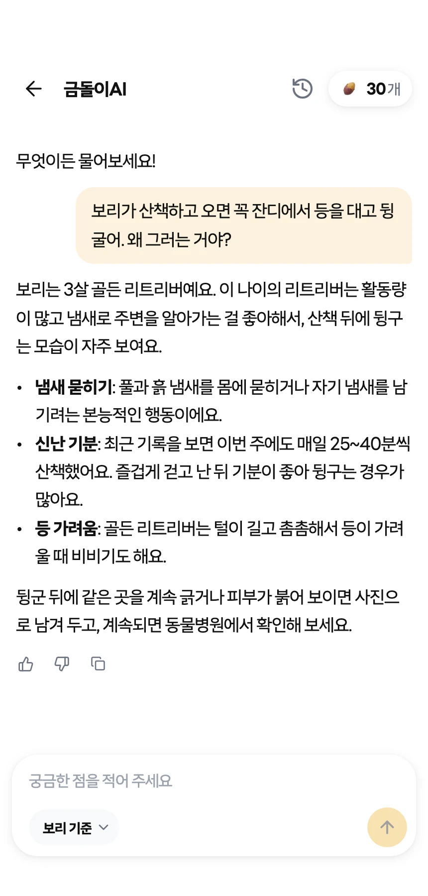 산책 기록을 정리해주는 금돌이AI의 실제 대화 화면. 대화 내용은 예시입니다